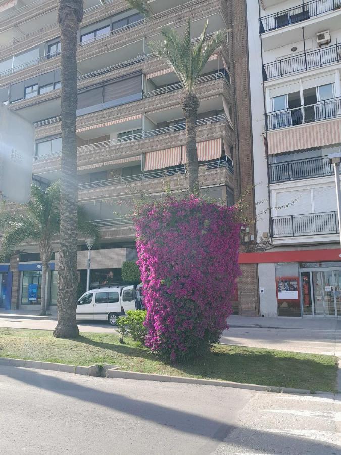 Stylowy Apartament Harmonia Playa Del Cura, Hiszpania Apartment Torrevieja Exterior foto